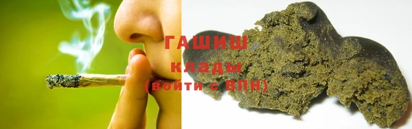 прущие грибы Арсеньев
