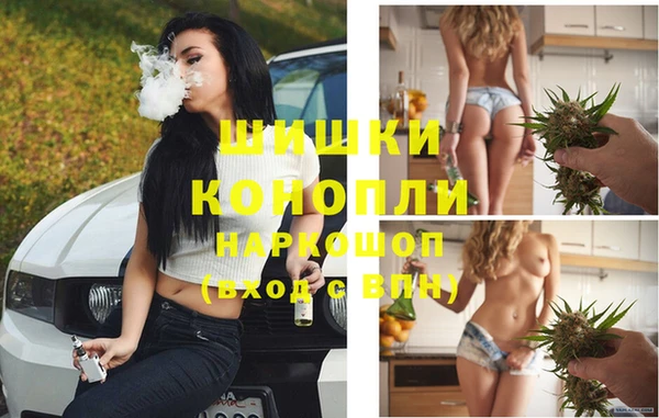 прущие грибы Арсеньев