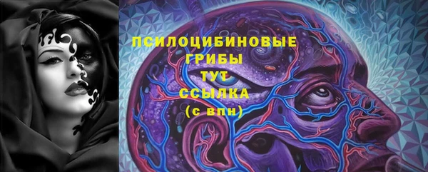 прущие грибы Арсеньев