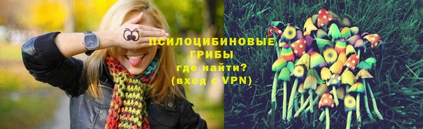 прущие грибы Арсеньев